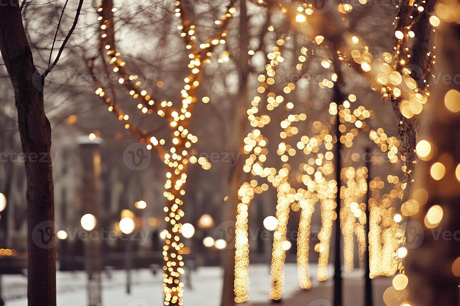 A street lined with trees with lights on them photo