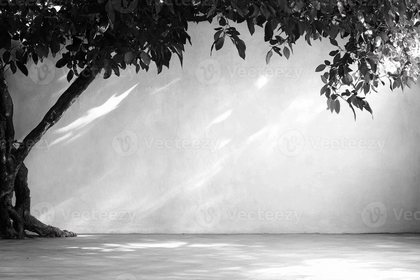 Black and white photograph of a tree in front of a wall photo