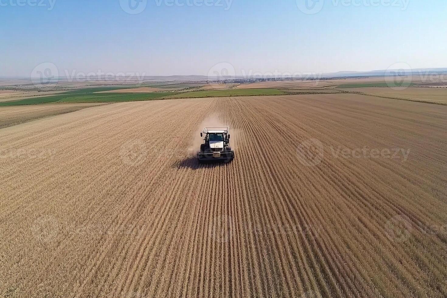 Aerial view of combine harvester harvesting wheat in the field photo
