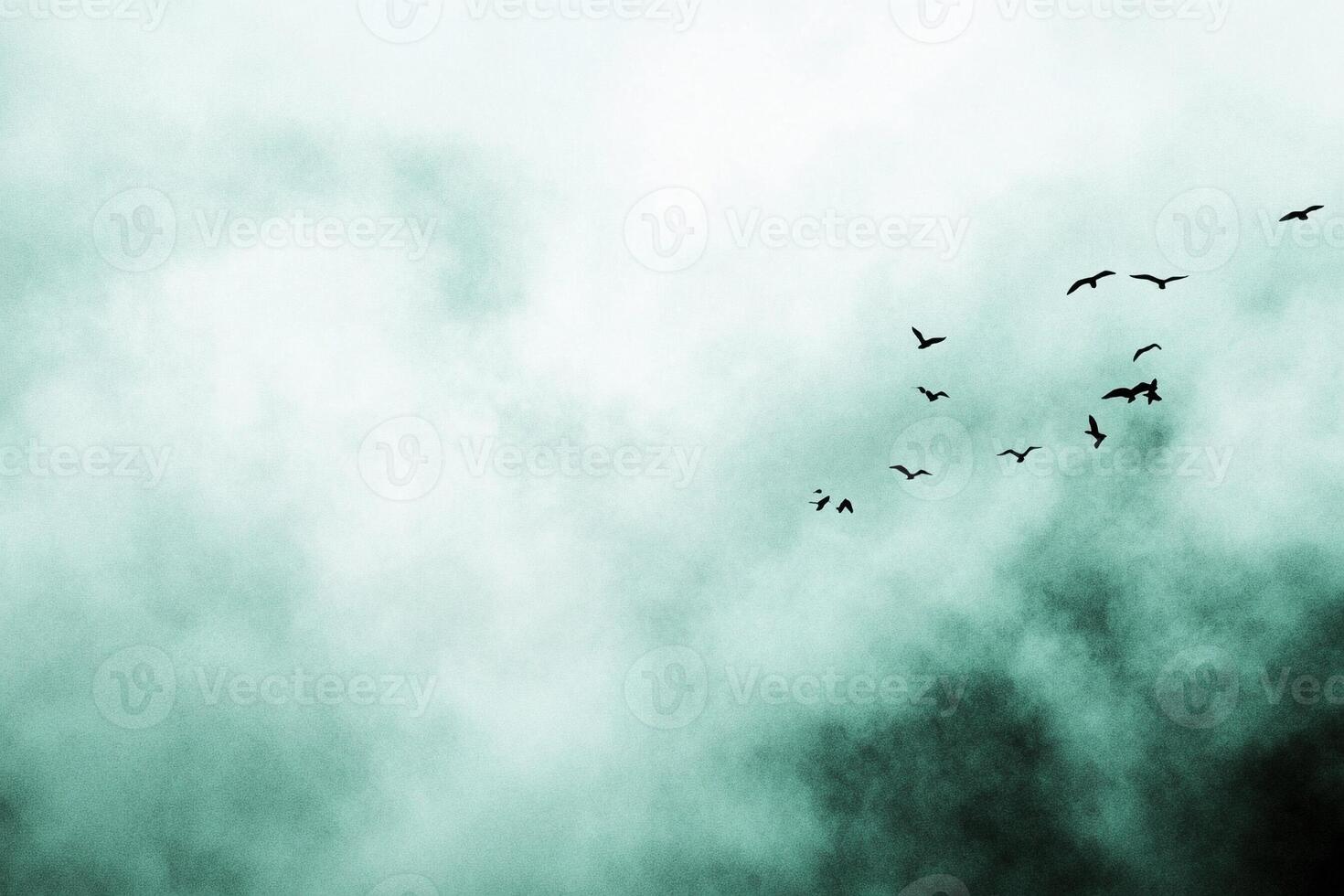 A flock of birds flying in the sky photo