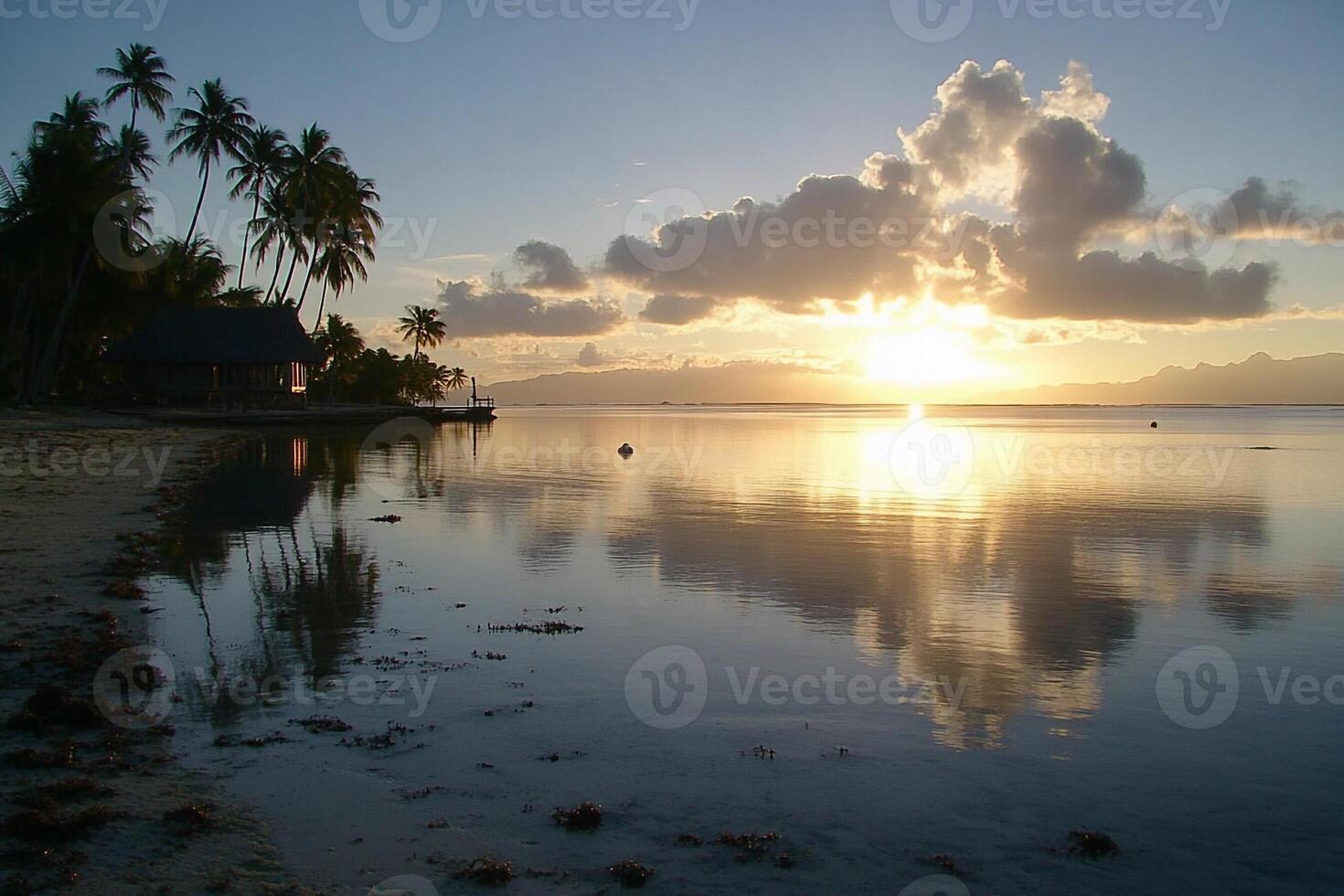 Sunset at the beach in fiji photo