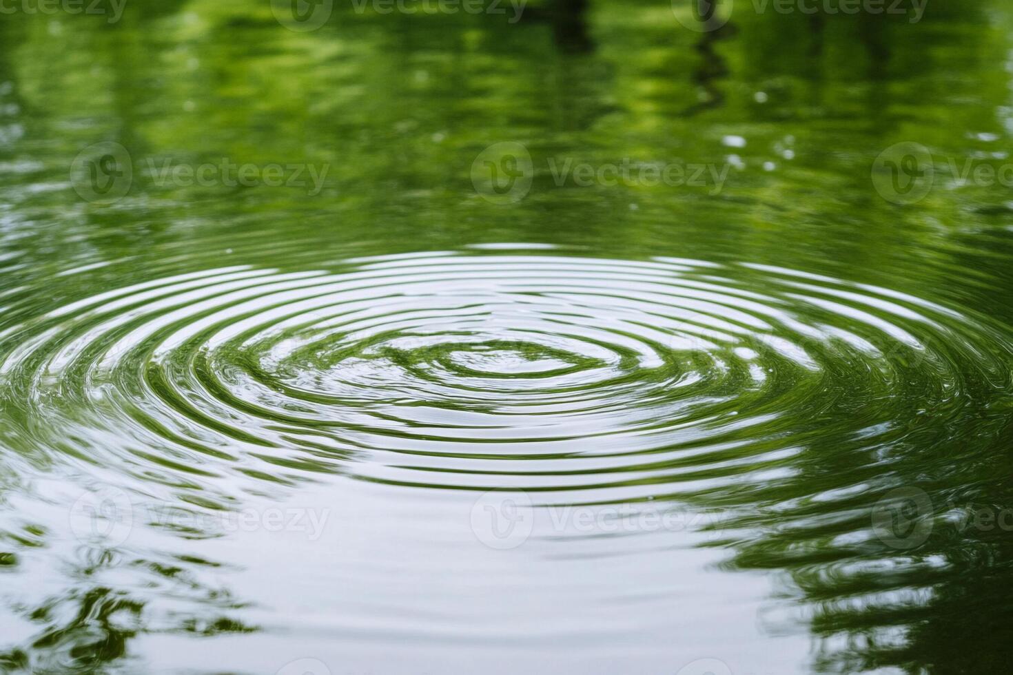 A circular ripple in a pond with green trees photo