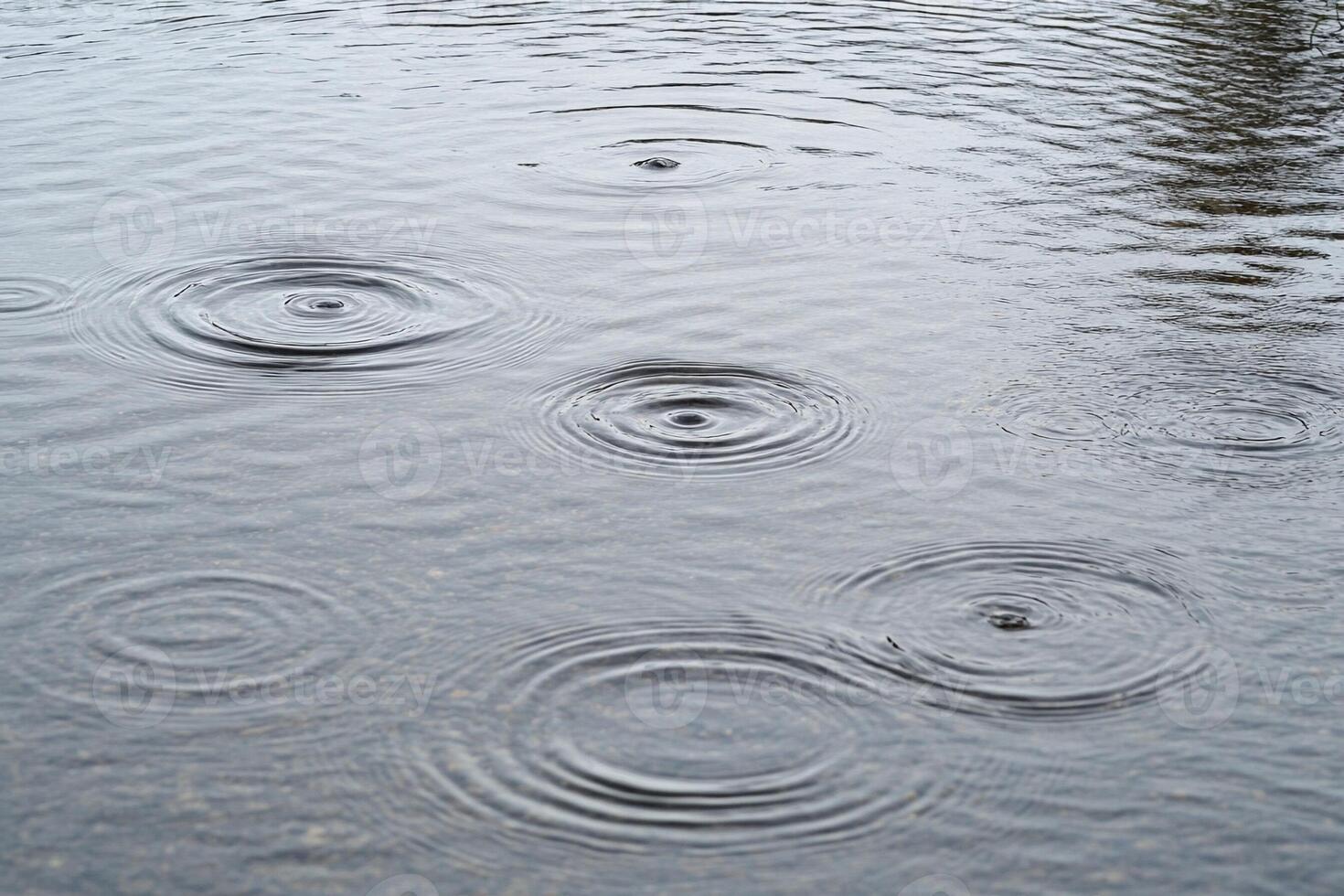 A bird flying over a puddle of water with circles photo