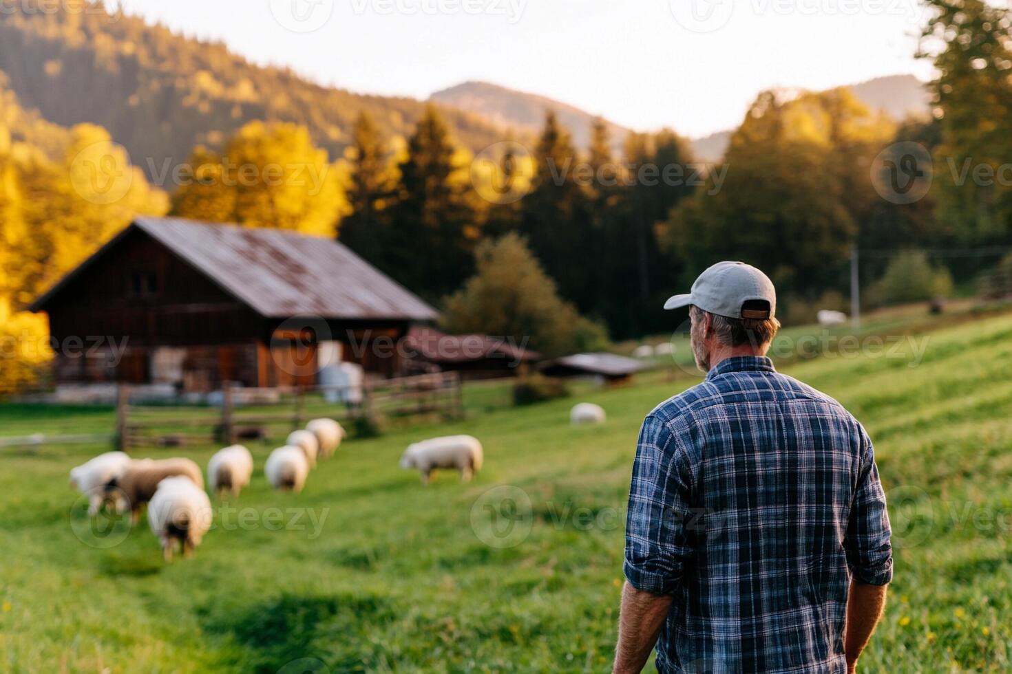 A man standing in front of a farm with sheep photo