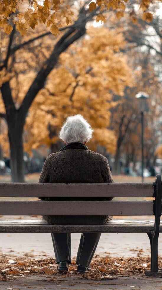 Autumn Reflection Senior Sits Alone on Park Bench photo