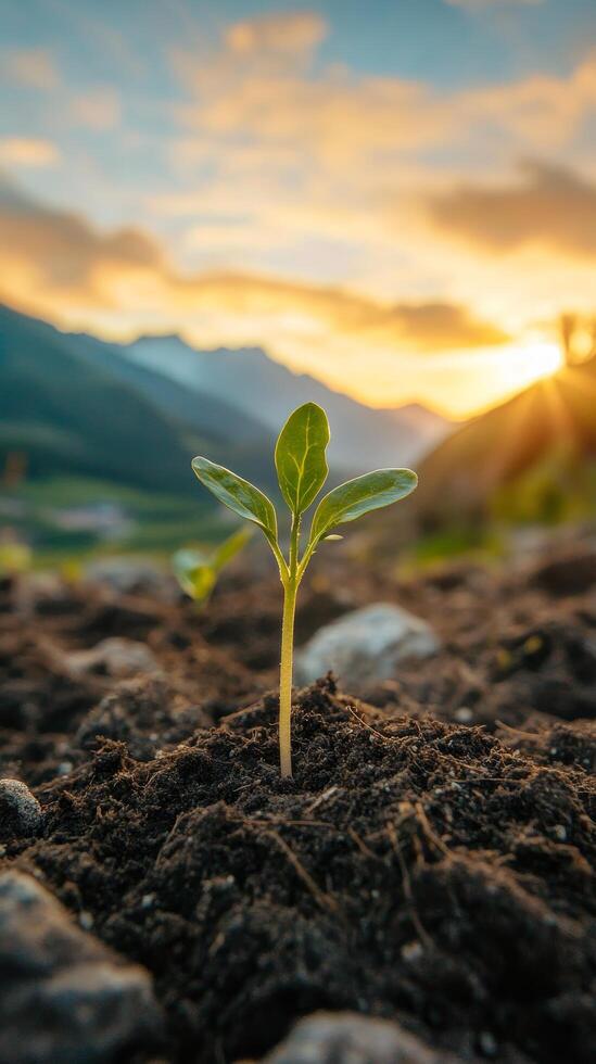 Symbolizing Hope, Renewal, and the Earth's Vitality Amidst a Breathtaking Mountain Landscape photo