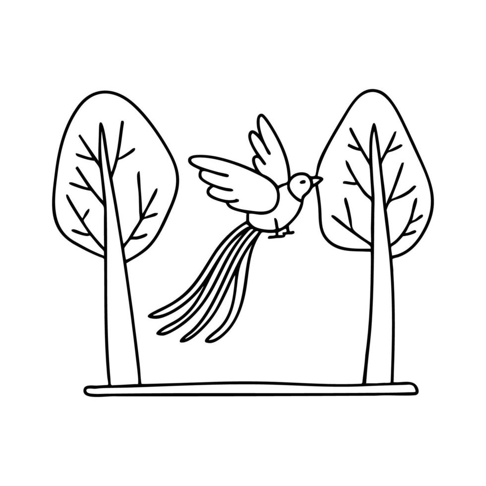 Illustration of a quetzal bird swinging by its long tail feathers between trees vector