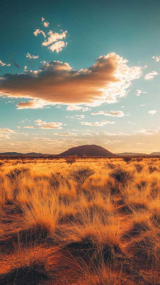 Golden Sunset Over the Dry Grassy Plains photo
