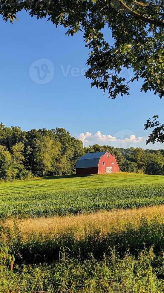 Idyllic Countryside A Red Barn Nestled in a Green Field under a Clear Blue Sky, Capturing the Essence of Rural Charm and the Beauty of Nature's Serene Palette photo