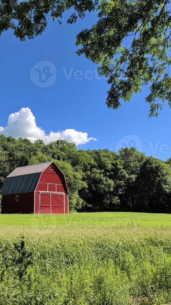 Charming Red Barn Amidst Verdant Fields photo
