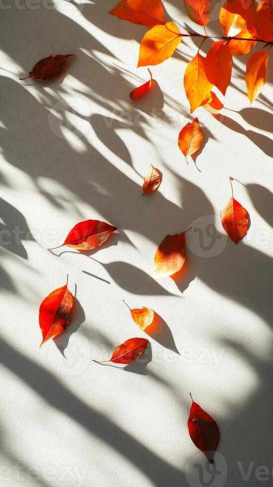 Autumnal Whisper Dancing Leaves in Sunlight - A Tapestry of Seasonal Hues and Shadows, Evoking the Serenity of Fall and the Beauty of Nature's Palette. photo