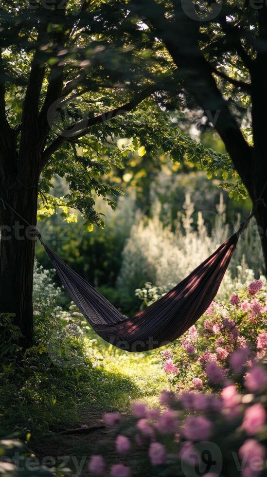 Enchanting Hammock Haven Serene Escape in Nature's Embrace, Find Tranquility Amidst Lush Greenery, A Perfect Retreat for Relaxation and Dreamy Moments photo