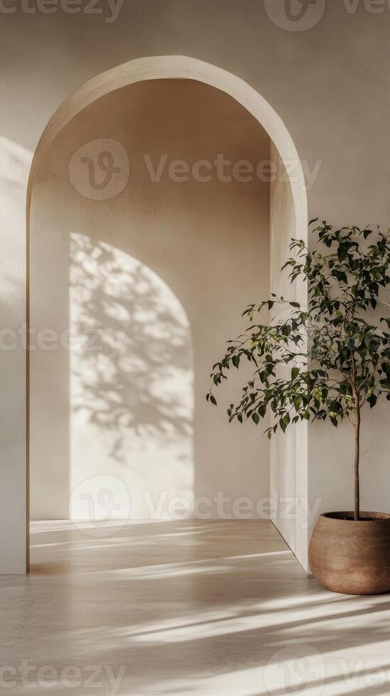 Minimalist Interior with Archway A Dance of Light and Shadow, Featuring a Serene Plant in a Pot for Tranquil Home Decor and Elegant Architectural Design photo