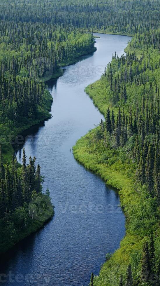 Serene River Winding Through Lush Evergreen Forest photo
