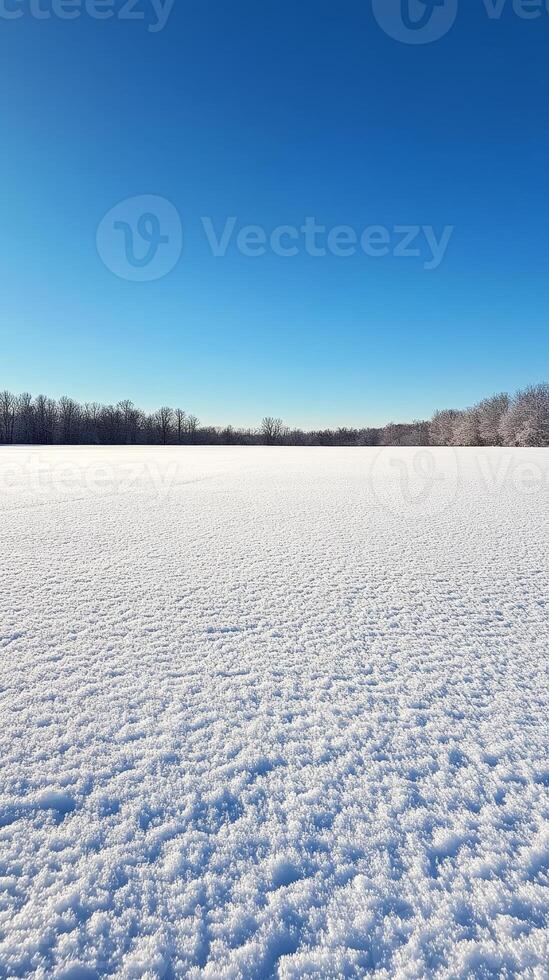 Winter Landscape with Snow-Covered Field and Clear Blue Sky photo