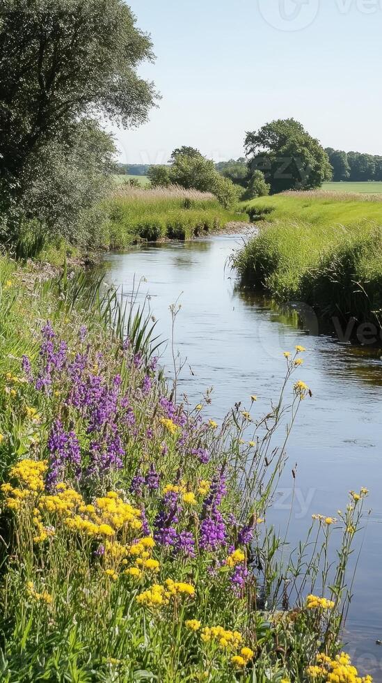Serene Riverbank with Vibrant Wildflowers photo