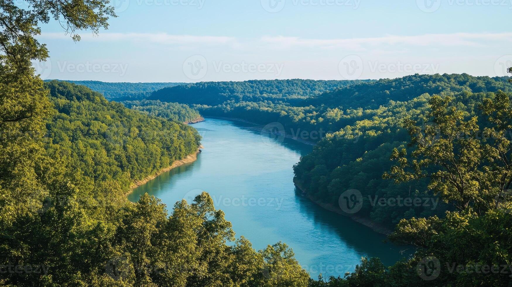 Calm river meandering through a lush forest scenery photo