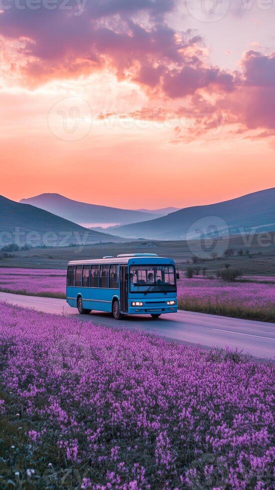 Serene Sunset Bus Ride Through a Field of Purple Flowers photo