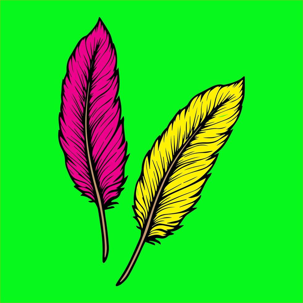 two colorful feathers on a green background vector