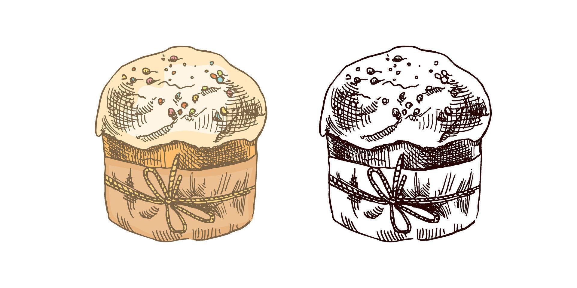 Hand-drawn colored and black sketch of easter cake. Vintage element. vector