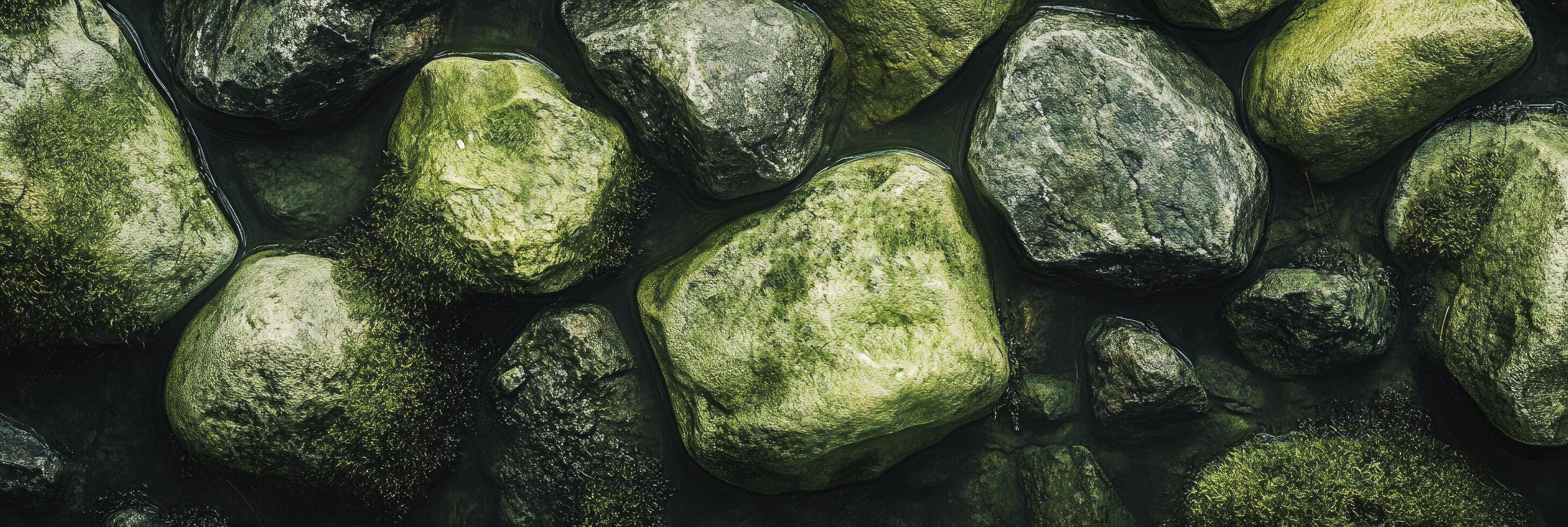 A close up of rocks in a pond photo