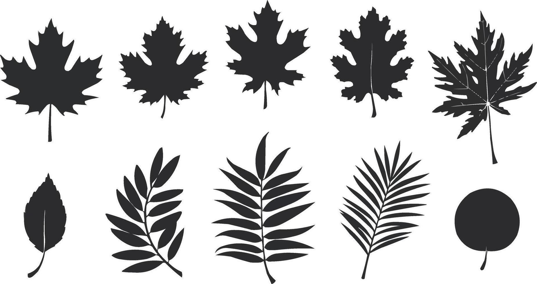 a set of leaves silhouettes on a white background vector
