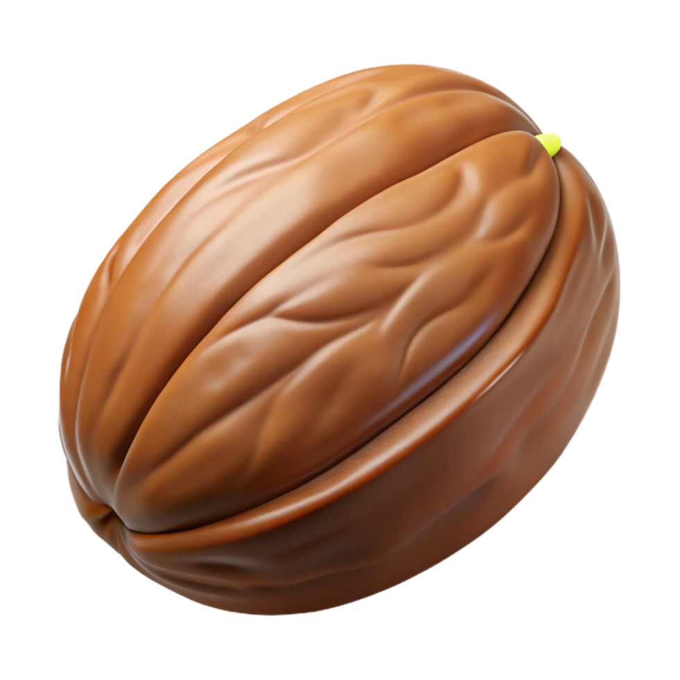 exquisite memorable Pecan nut in shell NO BACKGROUND with Transparent Background. png