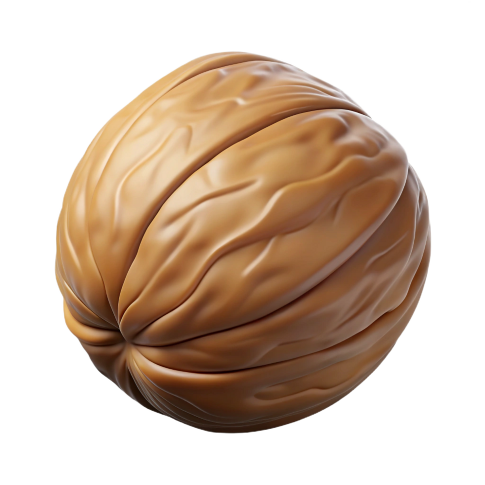 dramatic acclaimed Single walnut NO BACKGROUND with Transparent Background. png