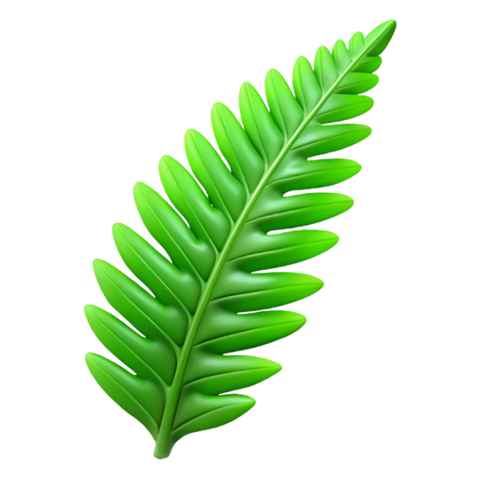 exceptional nordic Green fern frond NO BACKGROUND with Transparent Background. luxury png
