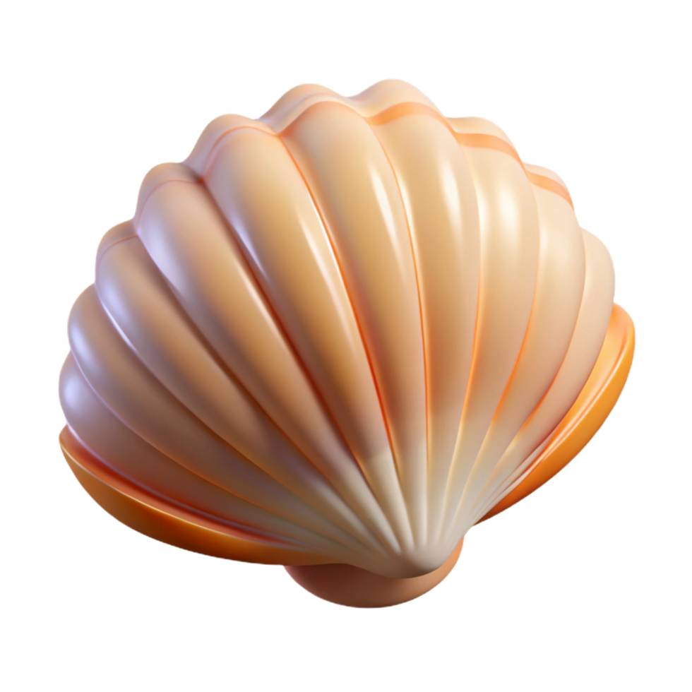 breathtaking notable Single seashell NO BACKGROUND with Transparent Background. png