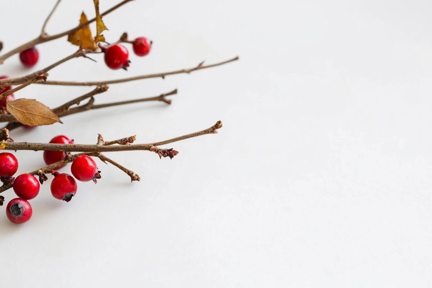 A bunch of red berries on a white surface photo