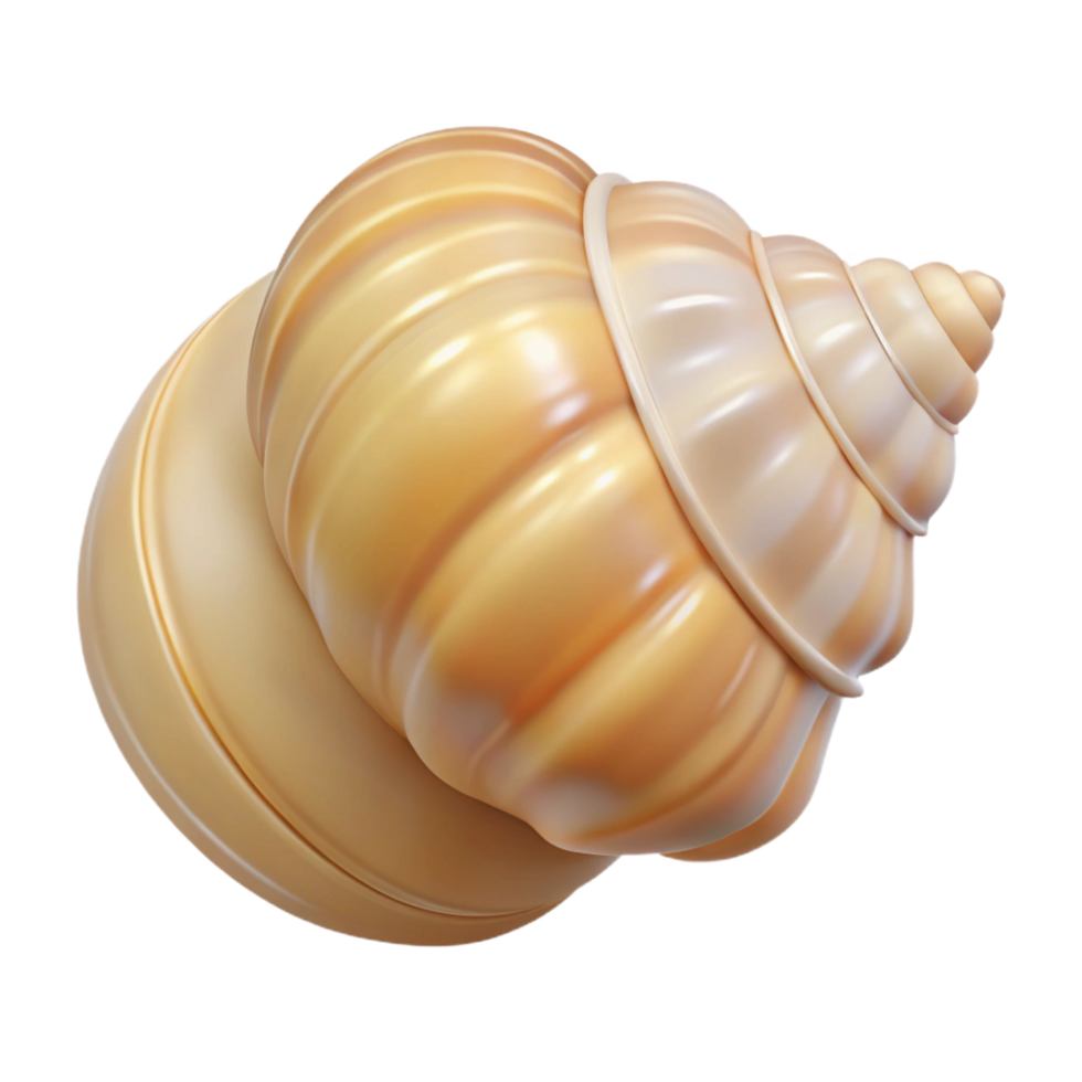 breathtaking whimsical coastal Single seashell NO BACKGROUND with Transparent Background. impeccable png