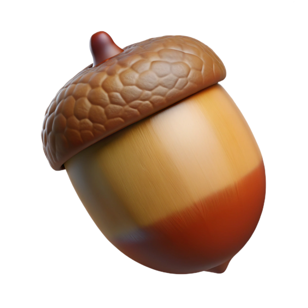 acclaimed coastal Single acorn NO BACKGROUND with Transparent Background. sharp png