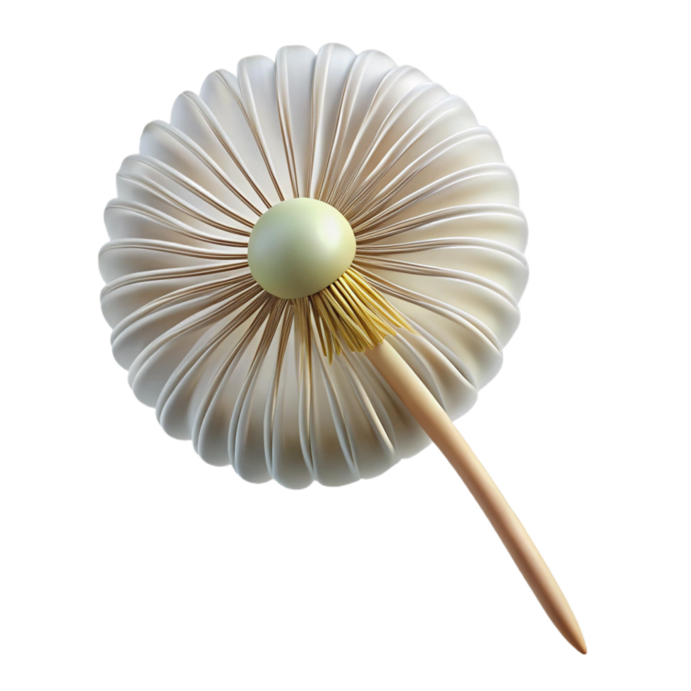 sought-after industrial Single dandelion seed head NO BACKGROUND with Transparent Background. genuine png