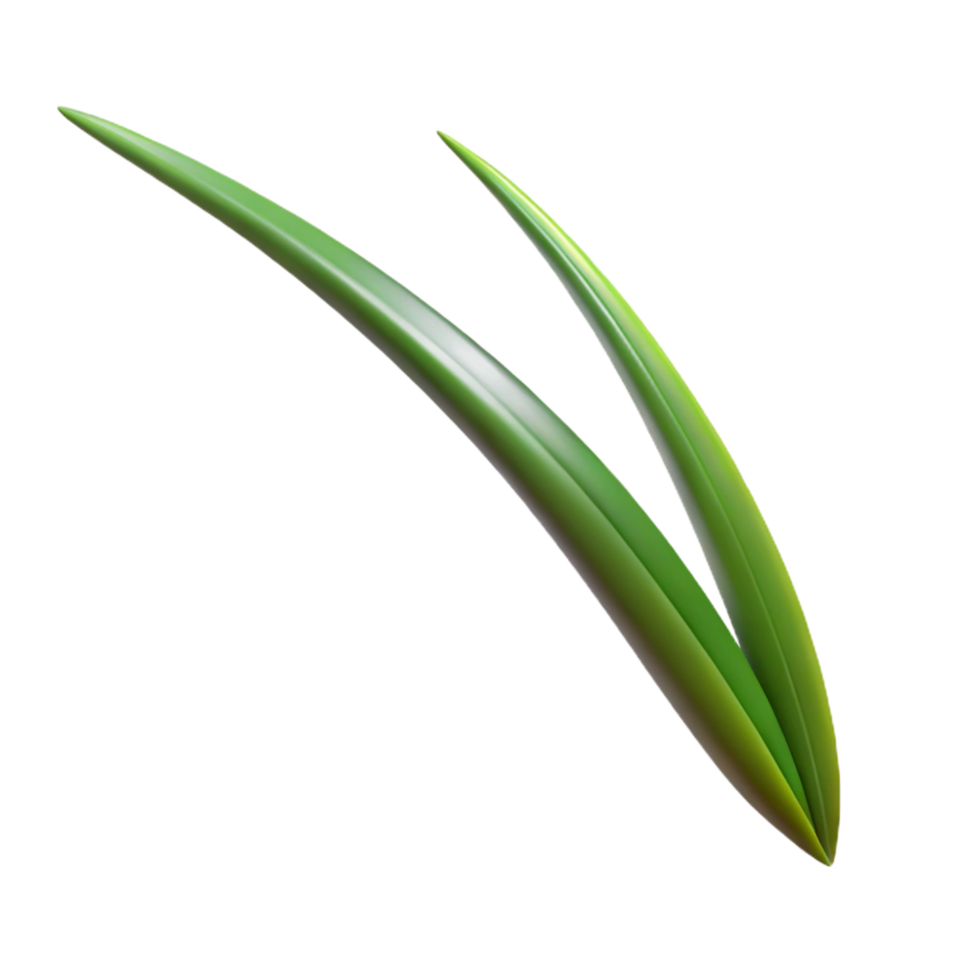 calm hypnotic Single blade of grass NO BACKGROUND with Transparent Background. flawless png