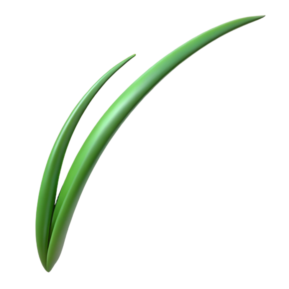 striking notable Single blade of grass NO BACKGROUND with Transparent Background. png