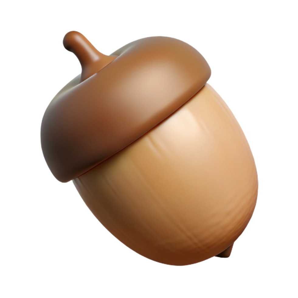 fascinating whimsical surreal Single acorn NO BACKGROUND with Transparent Background. studio quality png