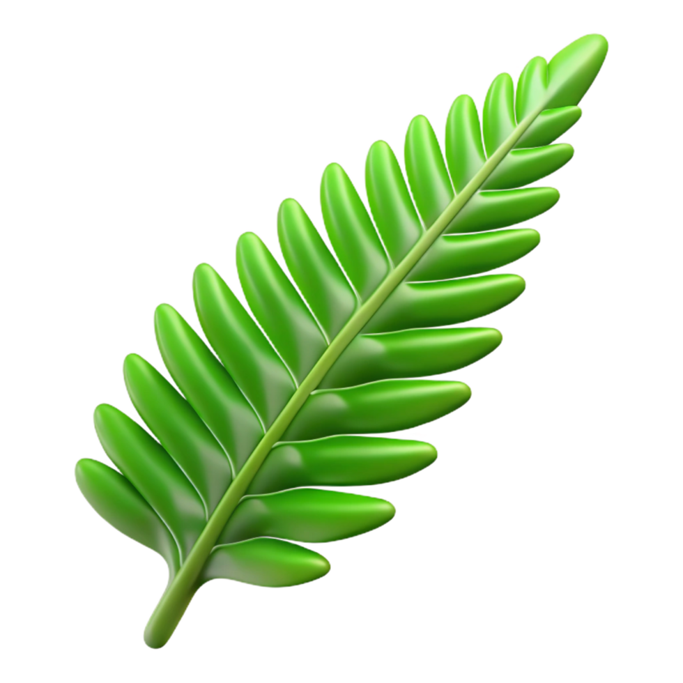 serene dramatic tropical Fern leaf NO BACKGROUND with Transparent Background. artisan png
