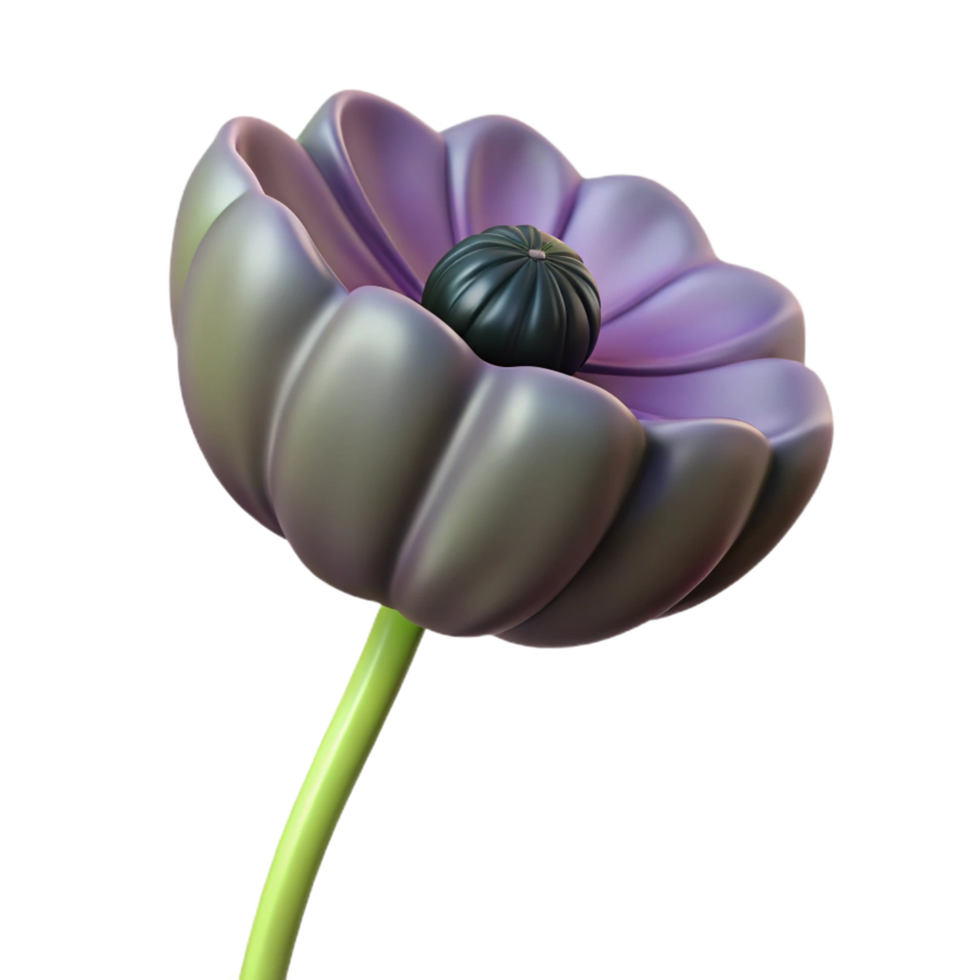 elegant traditional Poppy seed isolated NO BACKGROUND with Transparent Background. detailed png