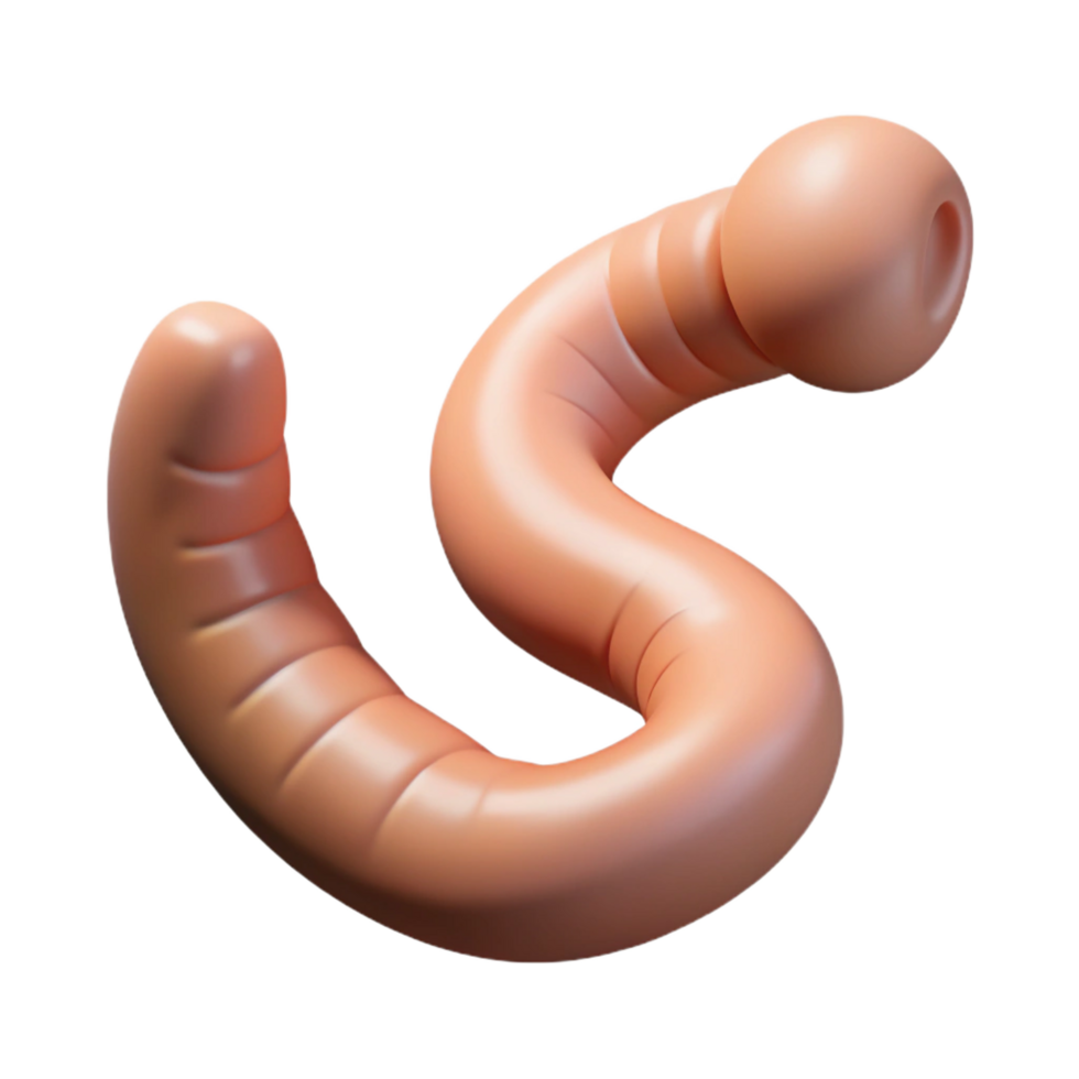 remarkable organic A worm, wriggling. NO BACKGROUND with Transparent Background. ultra HD png