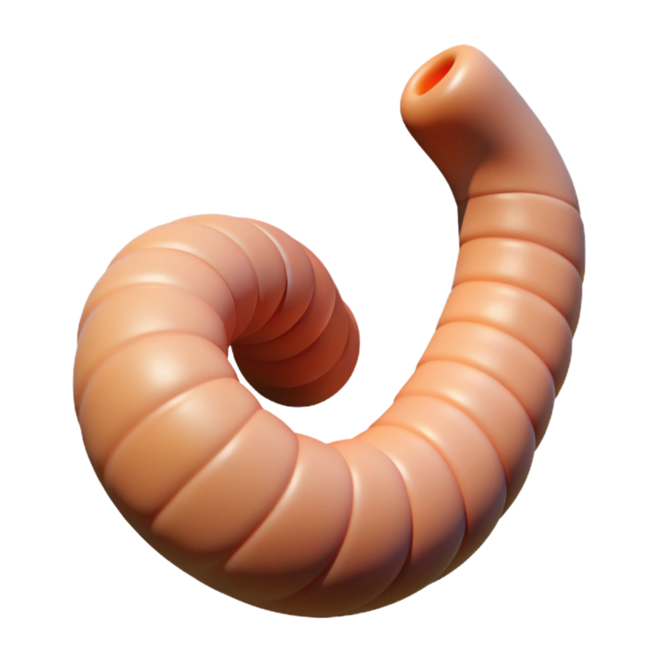 intense splendid A worm, wriggling. NO BACKGROUND with Transparent Background. museum quality png