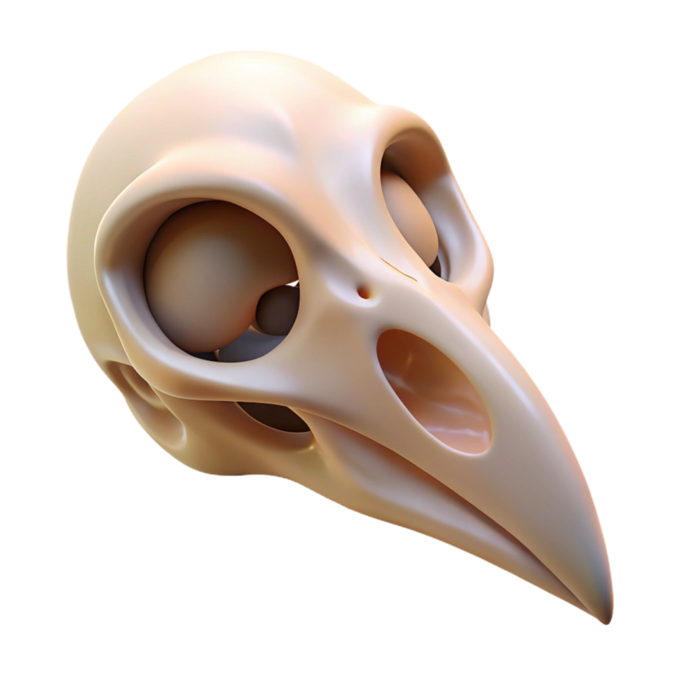 distinguished bohemian Bird skull, small NO BACKGROUND with Transparent Background. luxury png