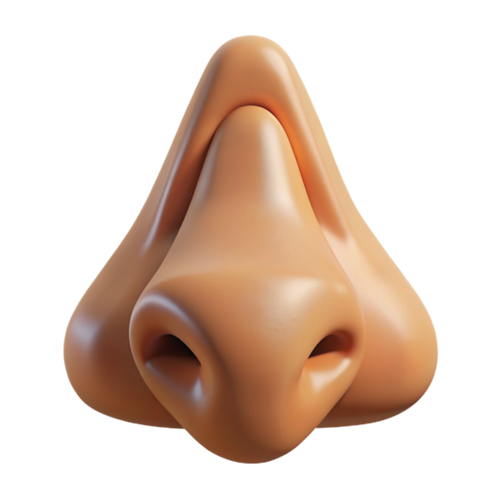breathtaking mysterious bohemian A single, realistic human nose. NO BACKGROUND with Transparent Background. refined png