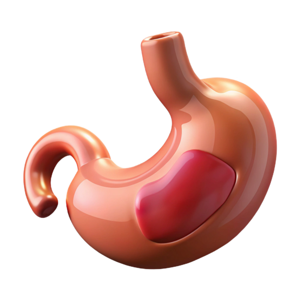 breathtaking geometric Stomach, human, NO BACKGROUND with Transparent Background. museum quality png