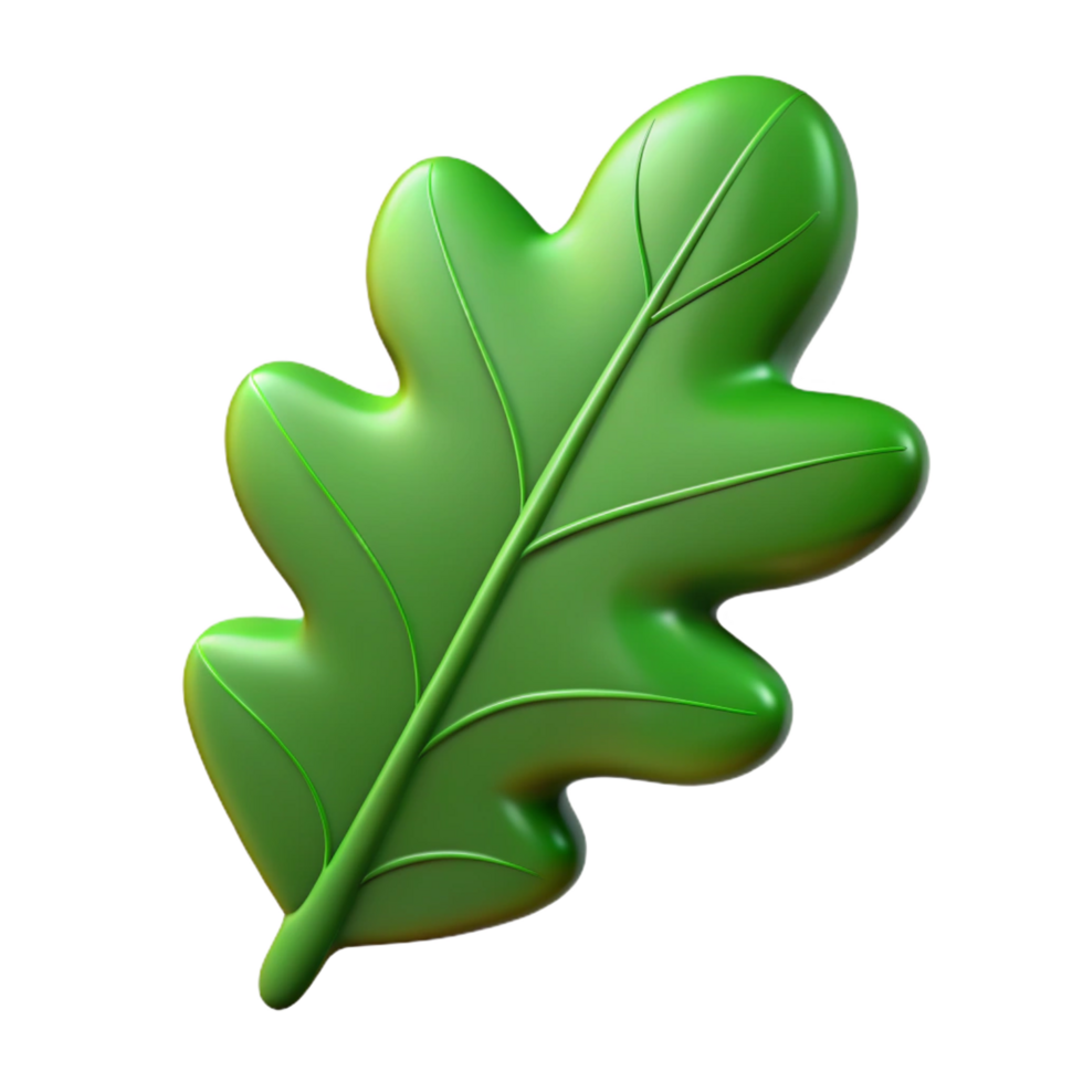 alluring sought-after Single green oak leaf NO BACKGROUND with Transparent Background. png