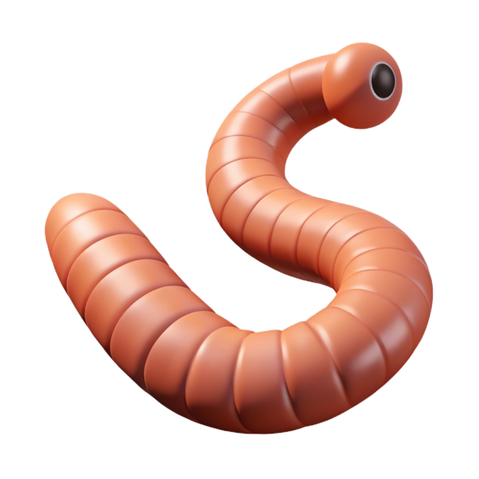 coveted baroque Earthworm NO BACKGROUND with Transparent Background. expertly shot png