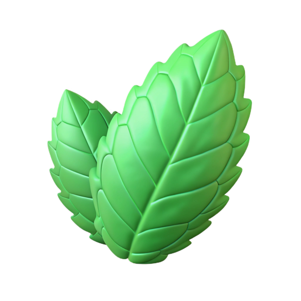 distinctive abstract Herbal leaf mint NO BACKGROUND with Transparent Background. refined png