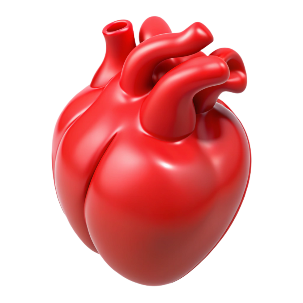 dramatic abstract Heart, anatomical, red, NO BACKGROUND with Transparent Background. authentic png