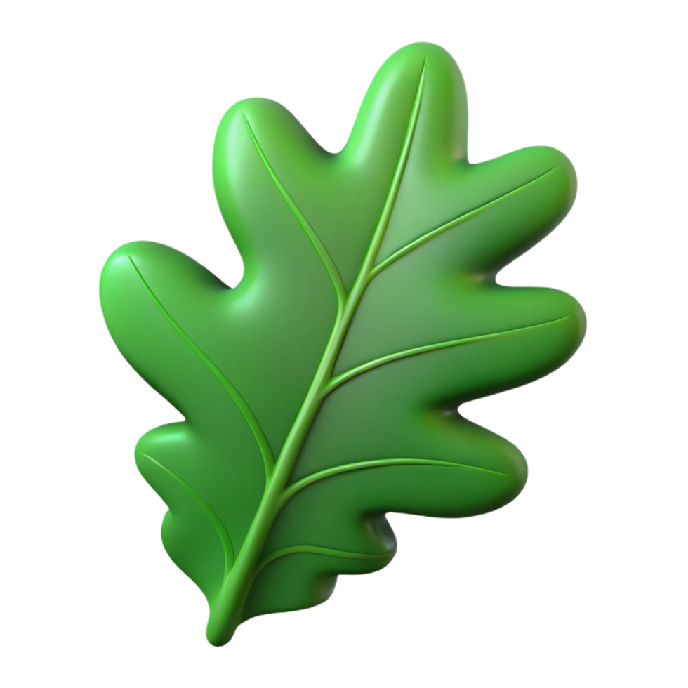 distinctive creative Single oak leaf, green. NO BACKGROUND with Transparent Background. studio quality png