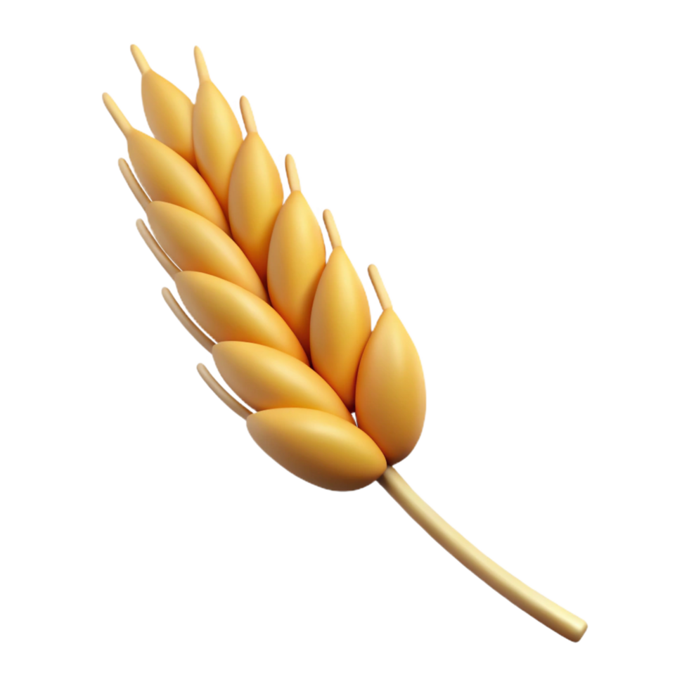 distinguished mid-century Wheat stalk, single, with grains. NO BACKGROUND with Transparent Background. original png
